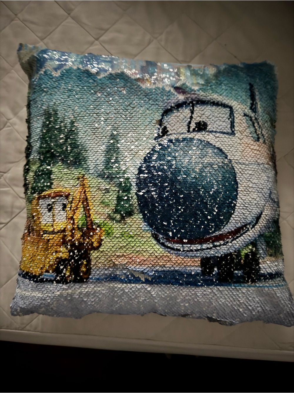 Reversible sequin pillow the stinky and dirty show